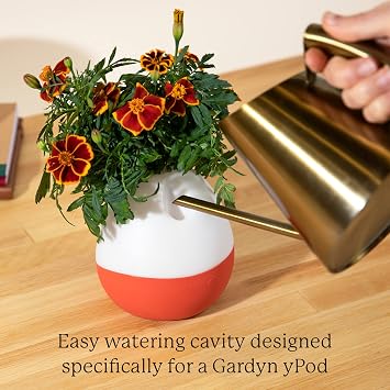 Gardyn Vase Complete Kit - Sage Green | Designed for use with Gardyn Hydroponics Growing System Kits & Vertical Garden Hydroponic Gardens | Bring Gardyns Indoor Plants to All Areas of Your Home