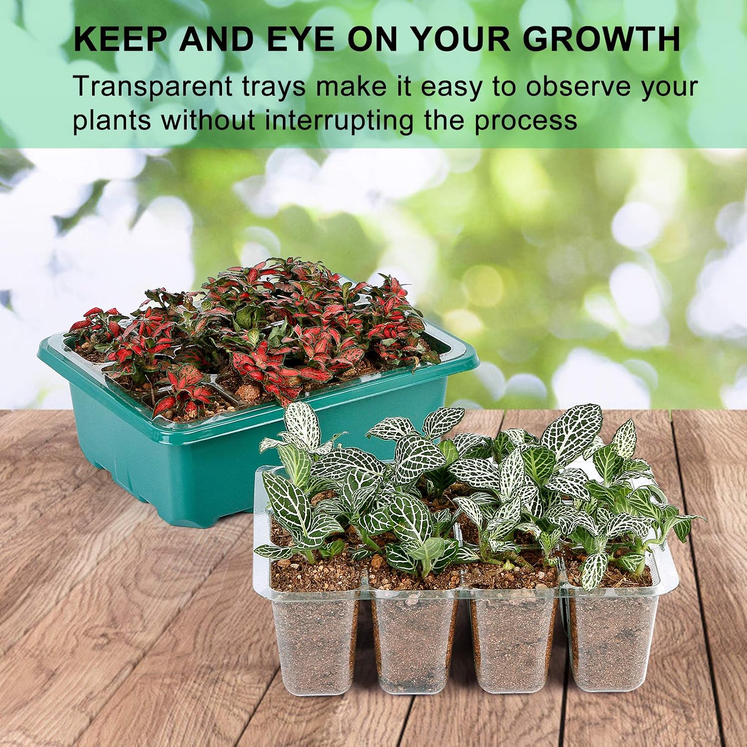 10 Packs Seed Starter Trays Seedling Tray, Humidity Adjustable Kit with Dome and Base Greenhouse Grow Trays Mini Propagator for Seeds Growing Starting(5 Green & 5 Black)