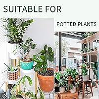 Vista 7 de AOPANDA Globos de riego para plantas, inserto de maceta de riego automático, bombillas de riego automático de plástico, gran capacidad, para plantas