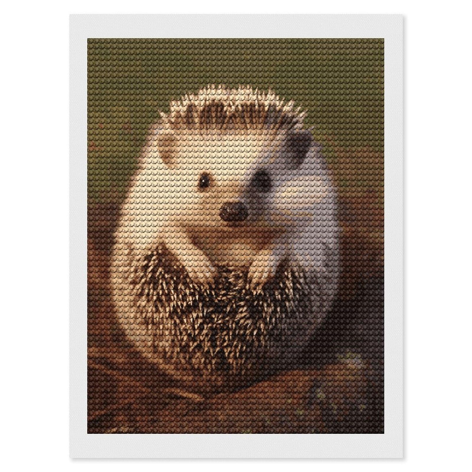 DWVTSLH Baby Hedgehog Diamond Painting Kits for Adults, Personalized Diamond Photo Art Full Drill, DIY 5D Diamond Art Painting Kits for Beginners, Home Wall Decor 12"x16"