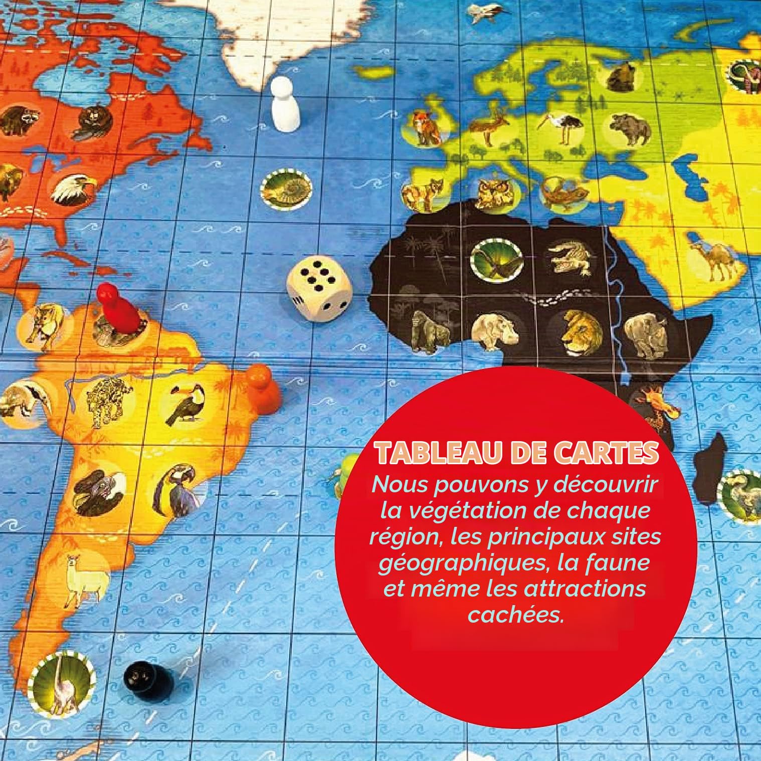 Safari, Le Jeu des Animaux. Jeu de société et de stratégie pour tout savoir sur les Animaux du Monde.
