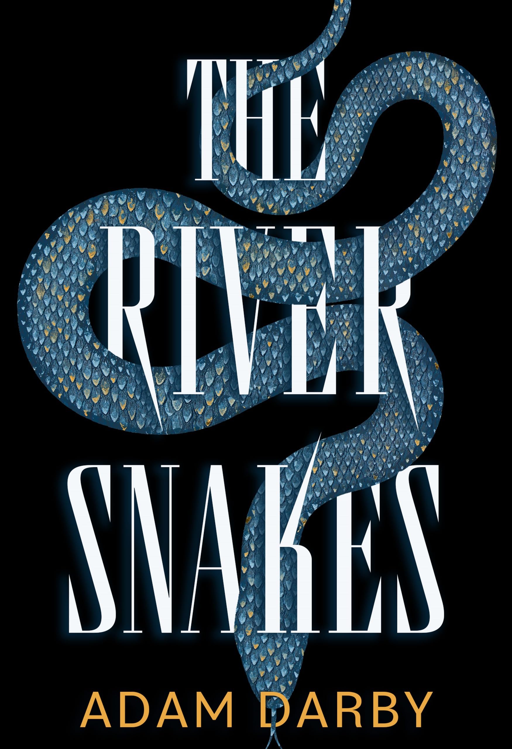 The River Snakes: A Novel