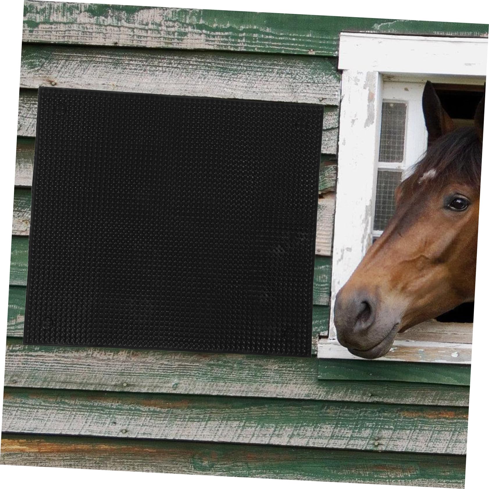 Gatuida Spazzola per Animali da Fattoria in Grattatore per Equini e Bovini Resistente e Facile da Installare Accessorio per Stalla e Benessere Animale