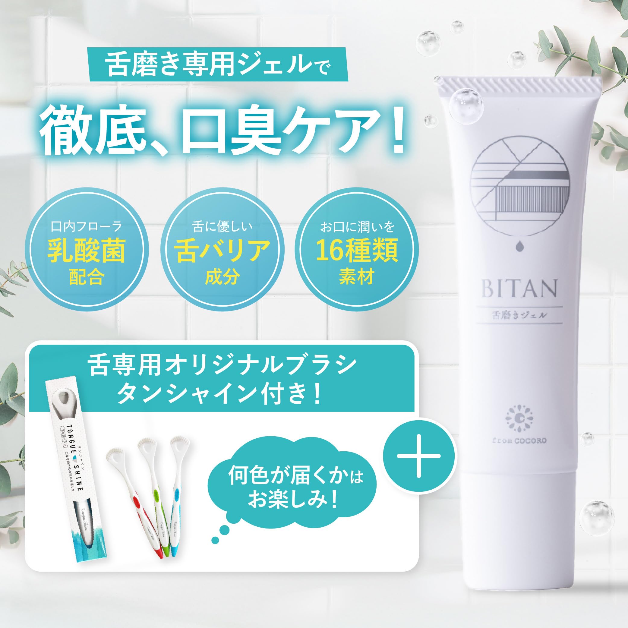 シロッシュ、BITAN、タンシャイン、Daily 1×2 シロッシュ、BITAN、タンシャイン、Daily 1×2 シロッシュ、BITAN