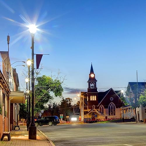 Miniatura 7 de Westinghouse Lighting 5269020 - Bombilla LED de filamento ED32 de 54 vatios (equivalente a HID de 320 W) de luz diurna de alto lúmenes, base Mogul