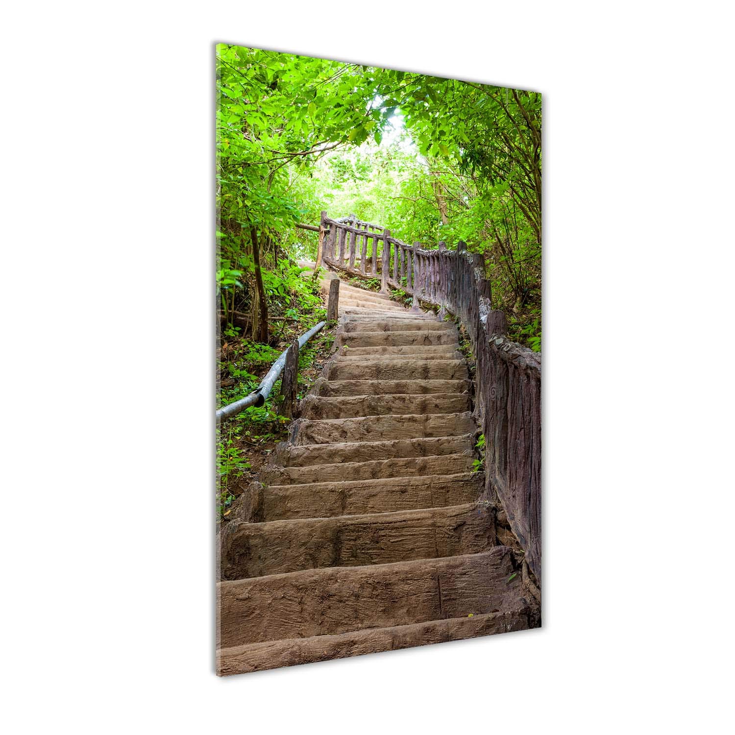 Tableau sur verre 60x120 cm vert pour cuisine et salon - Image panoramique escaliers dans la forêt