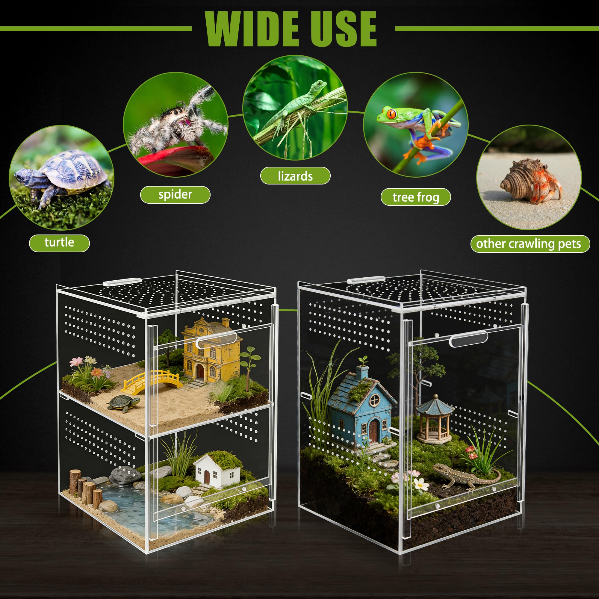 Windspeed Caja de araña de salto de doble capa de acrílico para terrario de micro hábitat, caja de terrario para arañas, mantis, tarántula, caracol (21 x 21 x 30 cm)