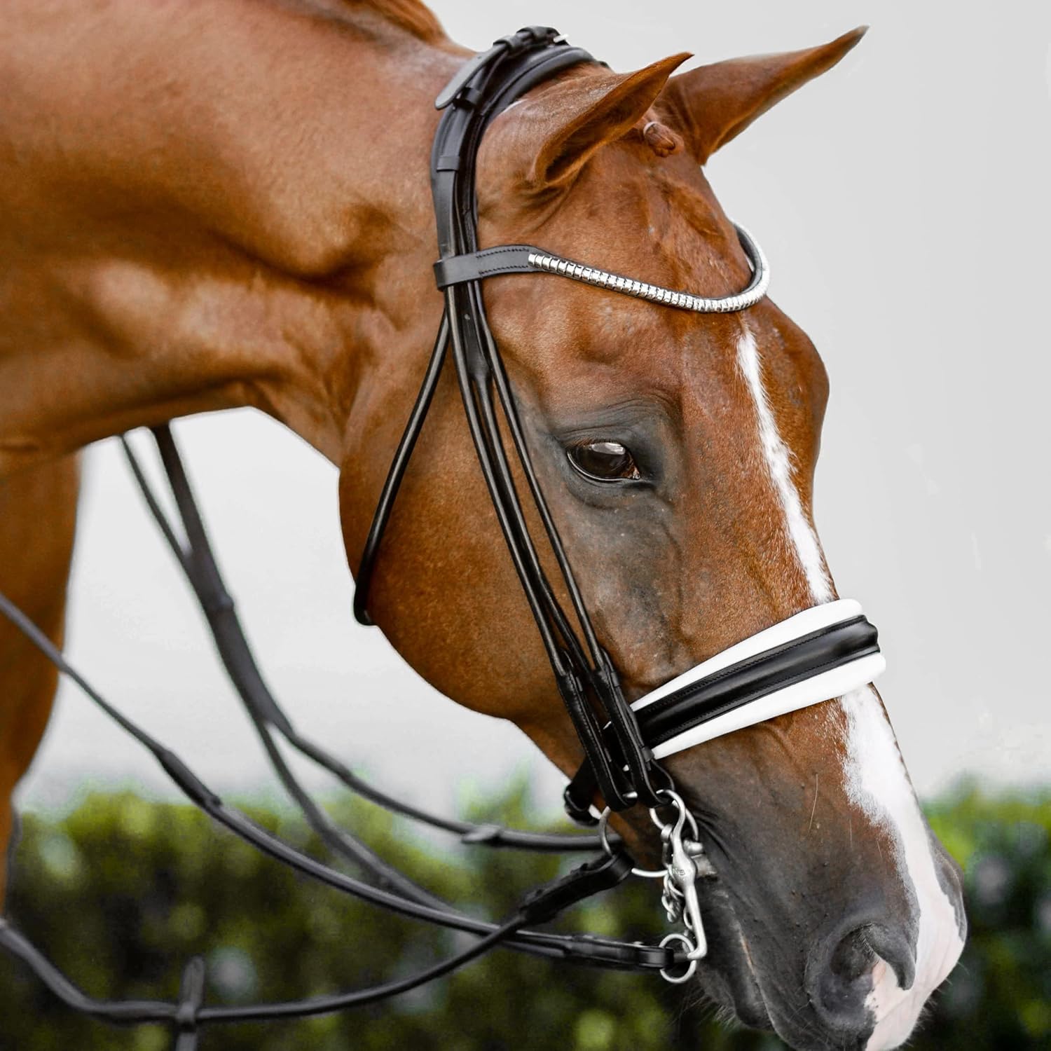 Lumiere Equestrian 'Magnifique' Rolled Leather Bridle White Padding - (Double) : Sports & Outdoors