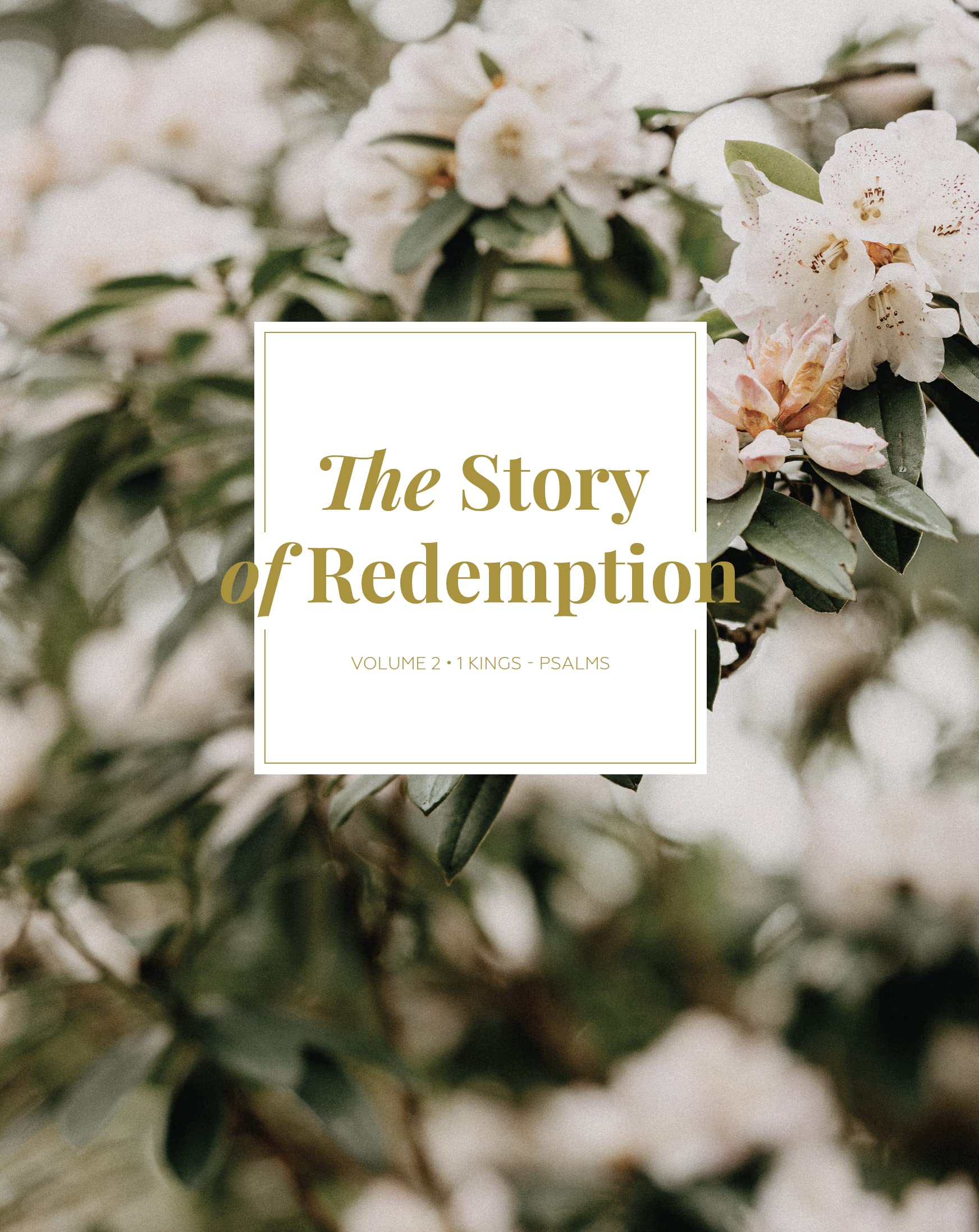 The Story of Redemption: Vol. 2