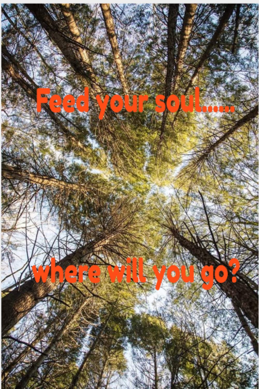 Feed Your Soul... Where will you go?