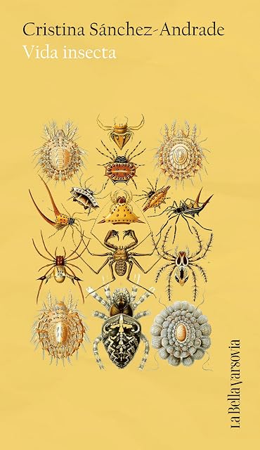 Portada de Vida insecta