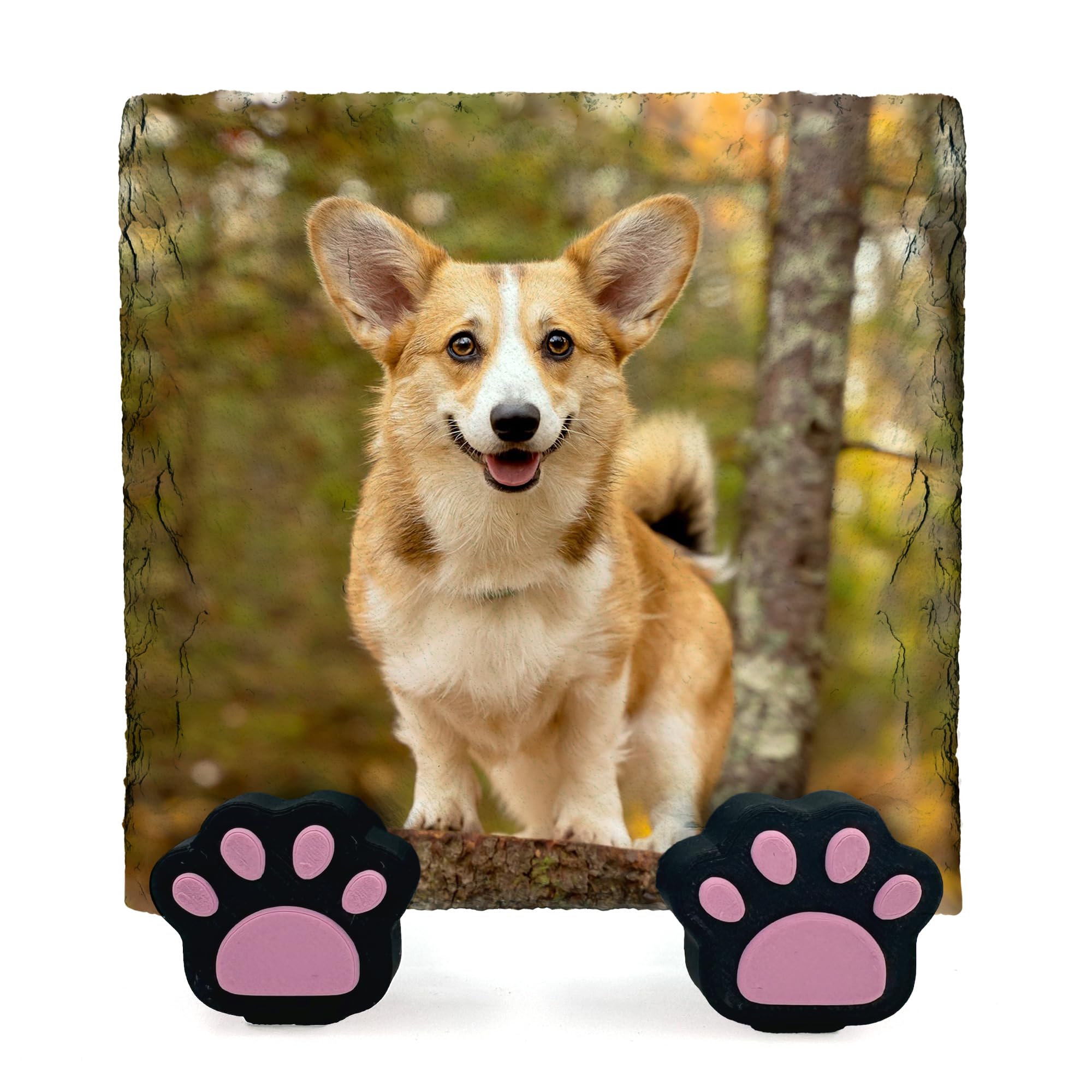 TULLUN Personalised Memorial Plaque For Pet Cat Dog Slate Natural Stone Frame Paw Grave Marker with Paw Display Stands - Full Print - Size | 4" x 4" or 10 x 10 cm |