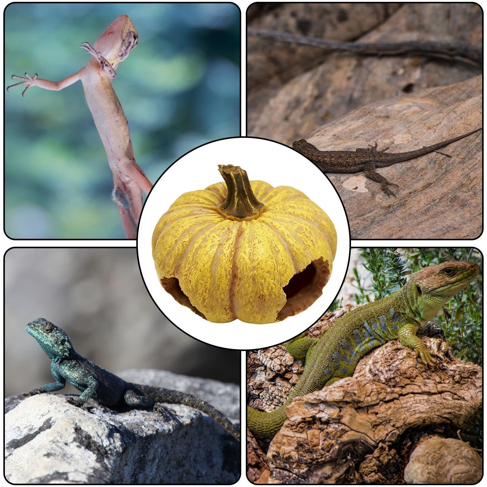 Refugio para Reptiles Cueva de Resina con Forma de Calabaza | Escondite para Tortuga Hábitat y Refugio para Terrario para Geckos, Serpientes, Lagartos, Dragones Barbudos y Ranas