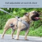 Harnais de chien avec jeu de laisse, Pas de traction réglable Étape dans avec respirant rembourré puppy Harnais pour les petits grands chiens moyenne marche et course (Gray, XS)