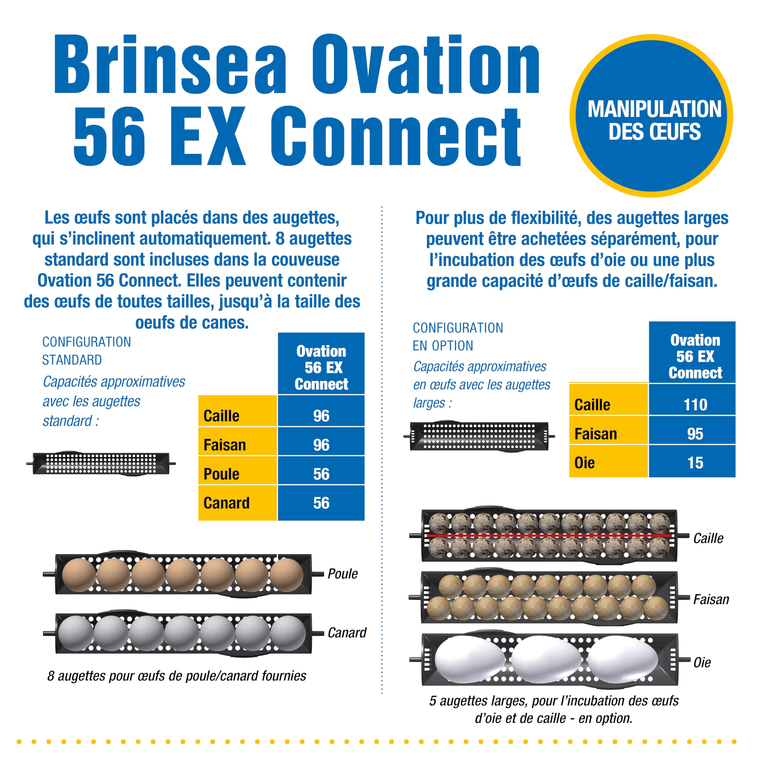 Incubadora Brinsea Ovation 56 EX Connect – Incubadora totalmente automática para 56 huevos de gallina con control mediante aplicación móvil.
