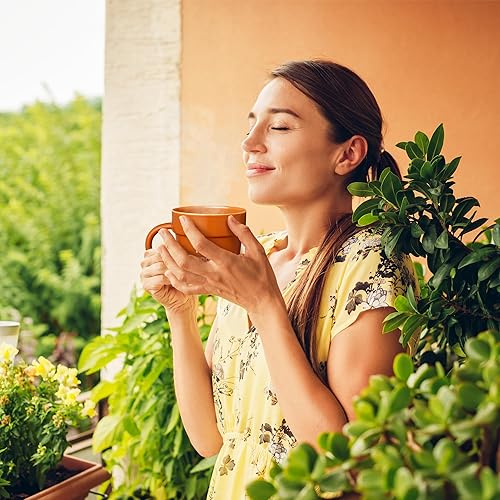 Miniatura 6 de VELENTI Taza de café Gardener de regalo, divertida taza de planta con cuchara de pala, tazas de café geniales para hombres, mujeres, taza para