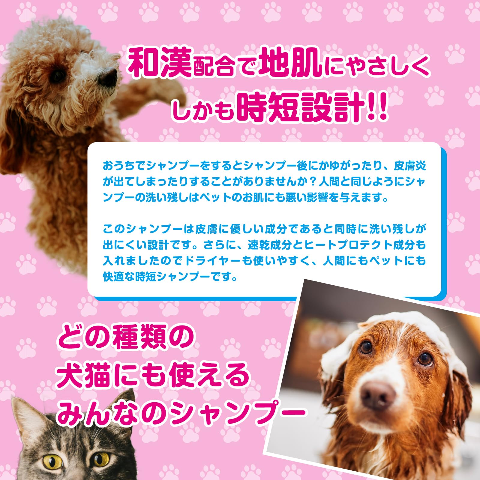 Amazon | 【公式】PAWKAMPO(パウカンポー)<犬猫用>オール Amazon | 【公式】PAWKAMPO(パウカンポー)<犬猫用>オール