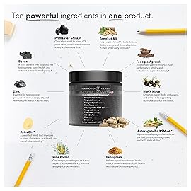 Formulation Factory Self Obsessed MAXXED 10-in-1 Mens Vitality Supplement with Shilajit, Tongkat Ali, Ashwagandha, Maca, Fadogia, Fenugreek, Zinc, Boron & AstraGin - 2 Month (Pack of 1)