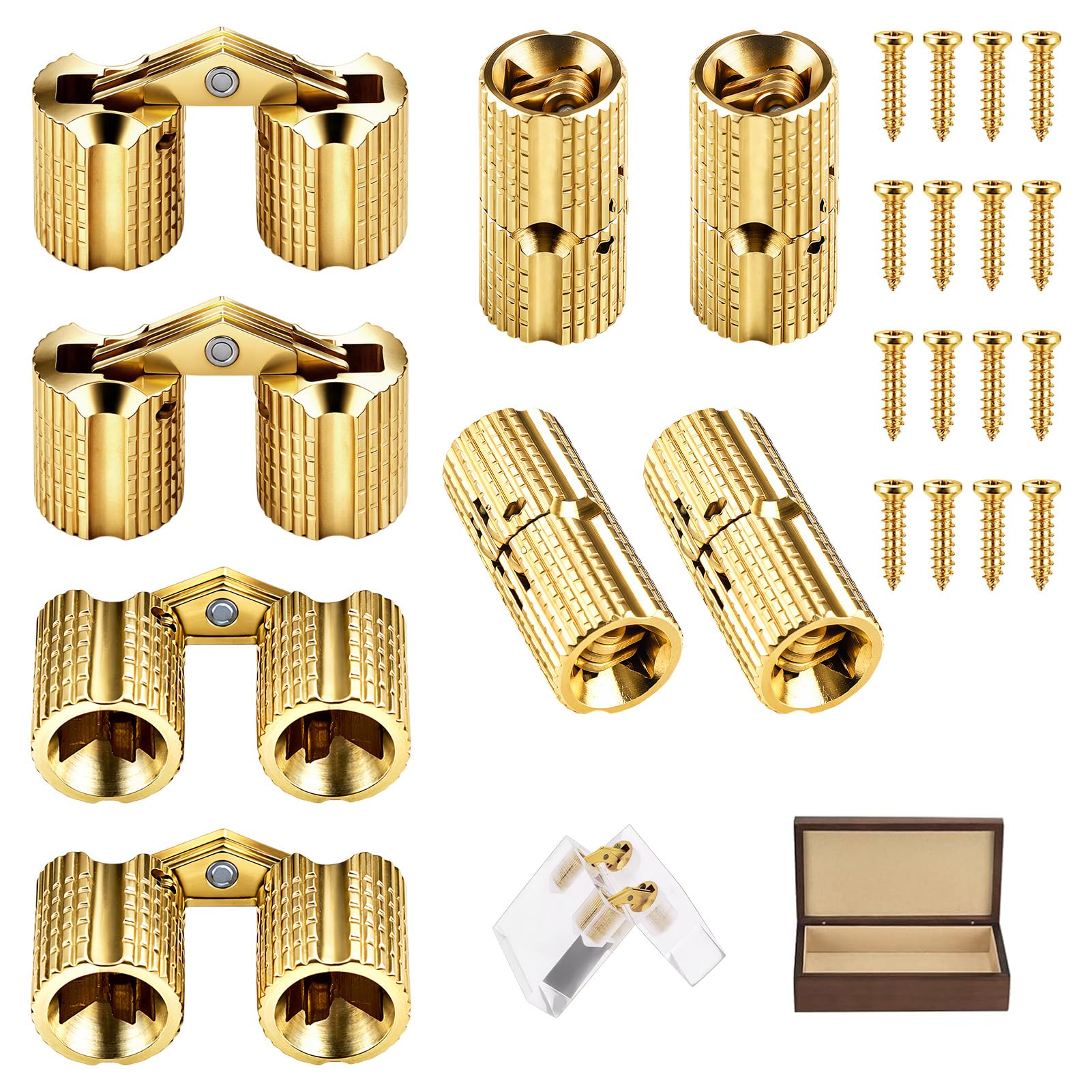 Hidden Brass Barrel Hinges - Concealed Design -1