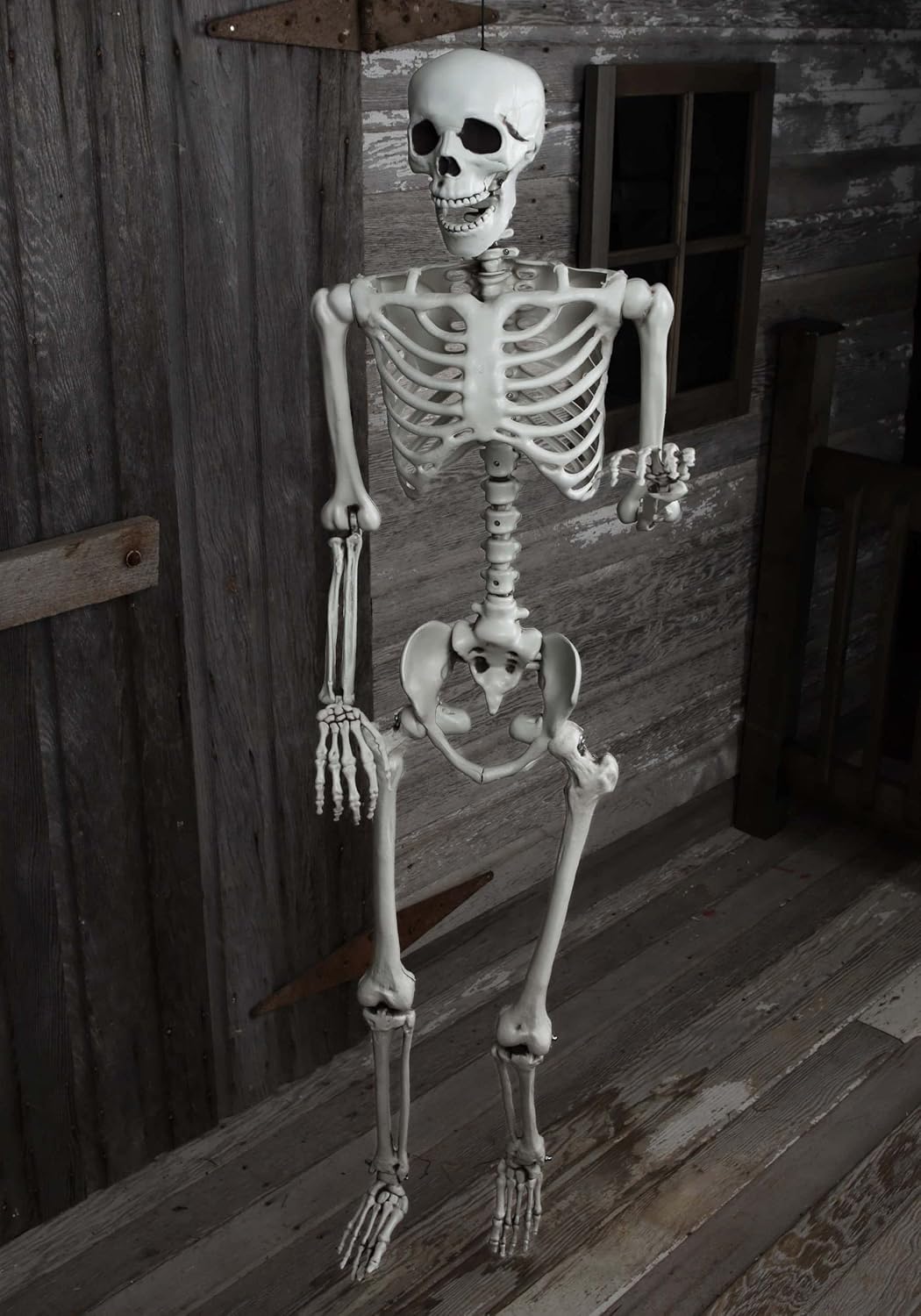 Fun Costumes Life Size Posable Skeleton Figure Halloween Prop 5 Ft Tall - ST