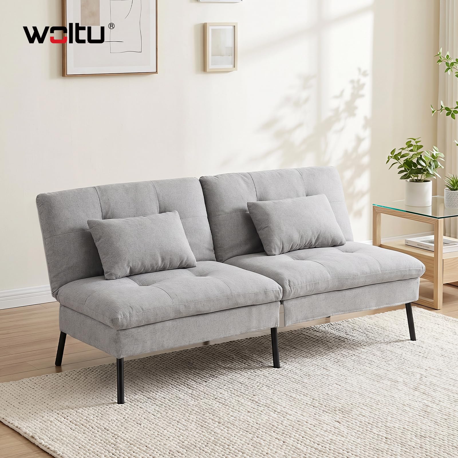 WOLTU Sofá Cama de 2 Plazas con 2 Cojines, Respaldo Ajustable, Gris Claro | Sofá Cama con Patas Antideslizantes, Estructura Metálico + Lino Sintético Transpirable, para Salón, Dormitorio, Estudio