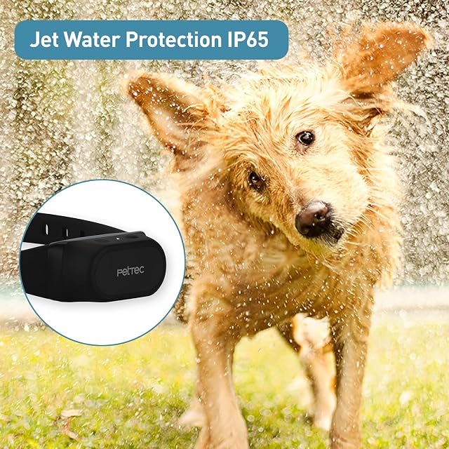 Foto 5 de 5 de PetTec Remote Spray Trainer 4.0 + 1 citronella Spray