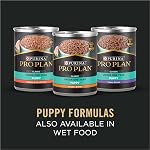 Purina Pro Plan Dry Puppy Food, Development Sensitive Skin & Stomach Large Breed Formula - 10.9 kg (1 Pack)
