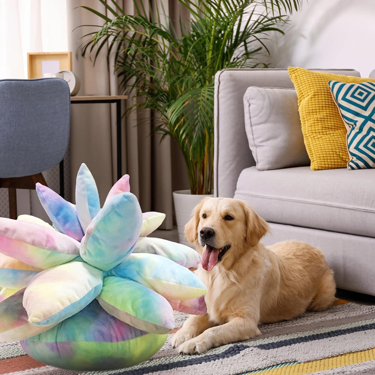 3D Succulents Cactus Pillow, Cute Succulents, for Garden or Green Lovers Baby Green Plant Throw Pillows for Bedroom Room Home Decoration Novelty Plush Cushion