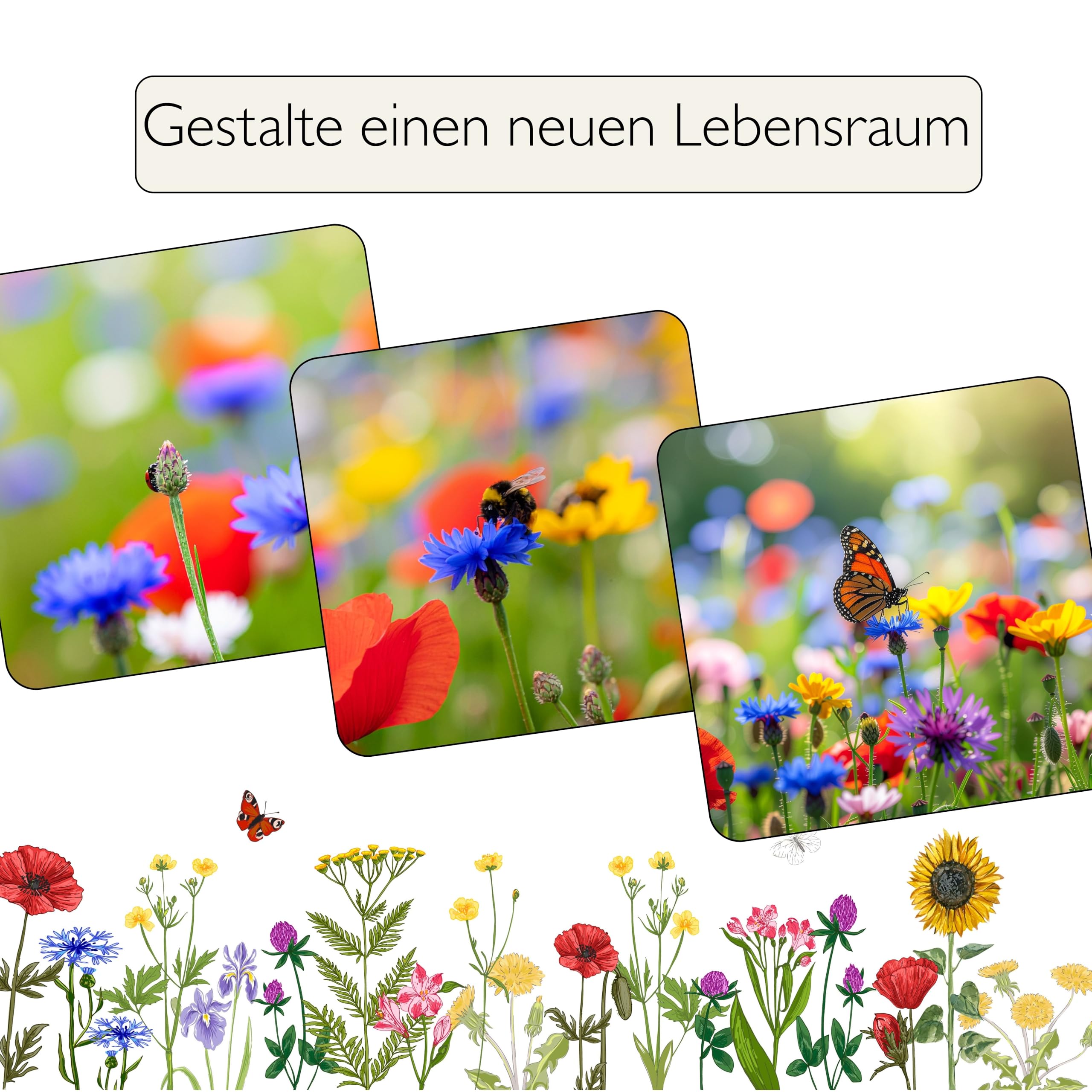 Blumenwiese mit Keimgarantie als Wildkräuter Mischung fünfjährige Bienenweide, insektenfreundlicher Garten mehrjährige winterharte Blühwiese für Bienen & Hummeln (250qm)