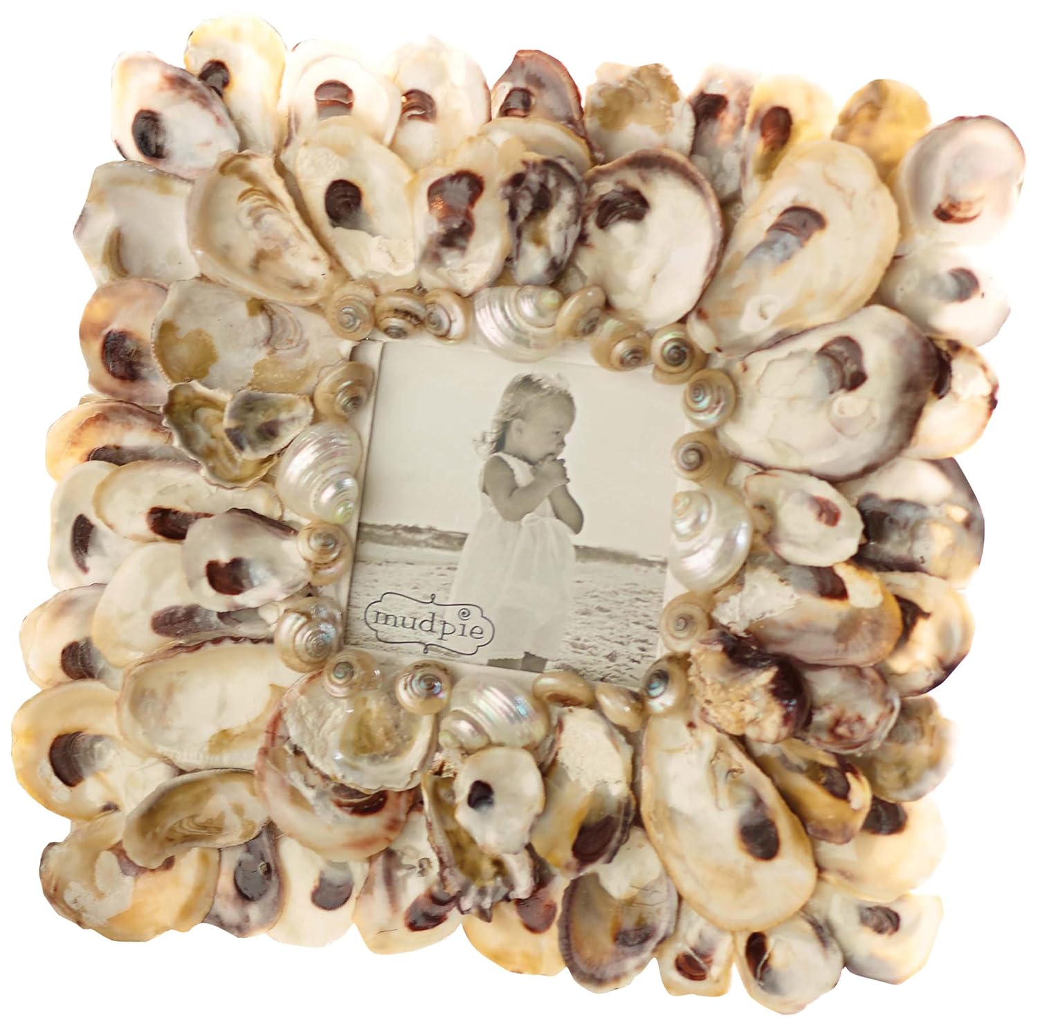 Buy Mud Pie Oyster Shell Photo Frame 3 by 3Inch Online at Low Prices