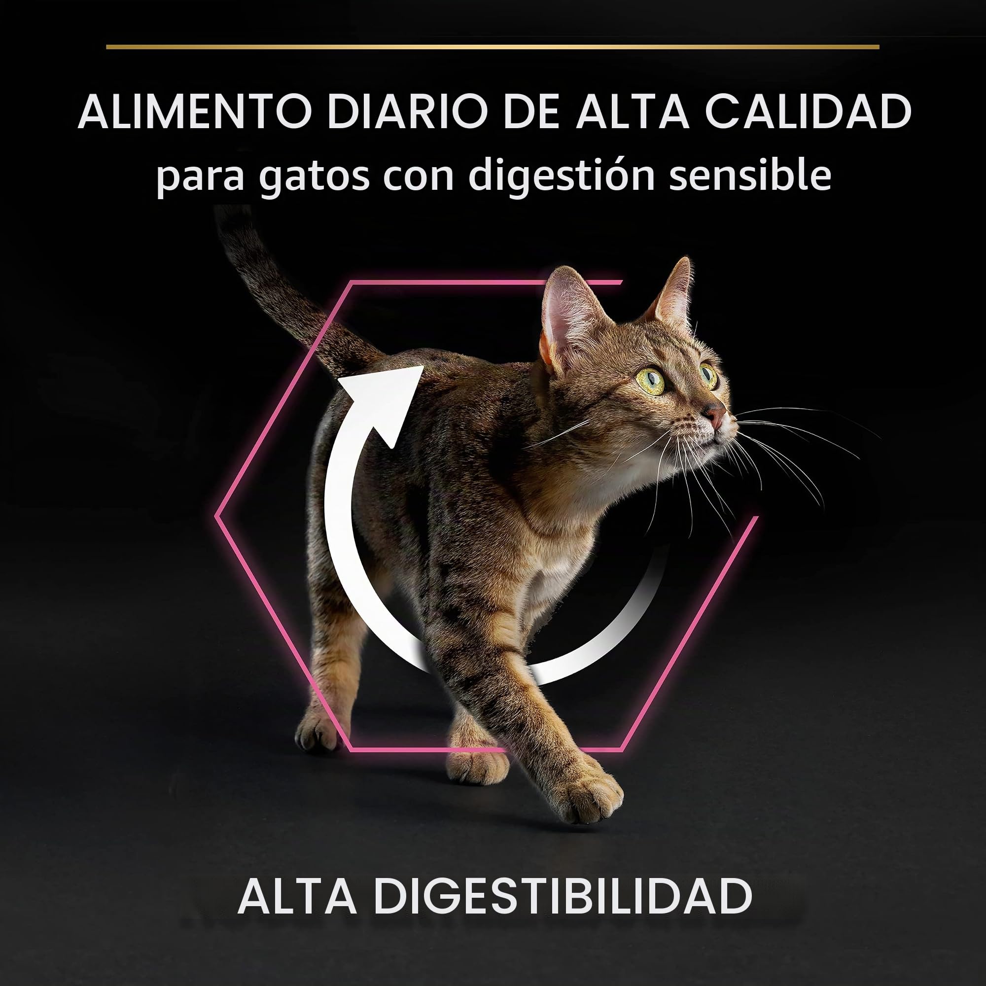 Purina Pro Plan Delicate Turkey Comida para Gatos - 10000 gr