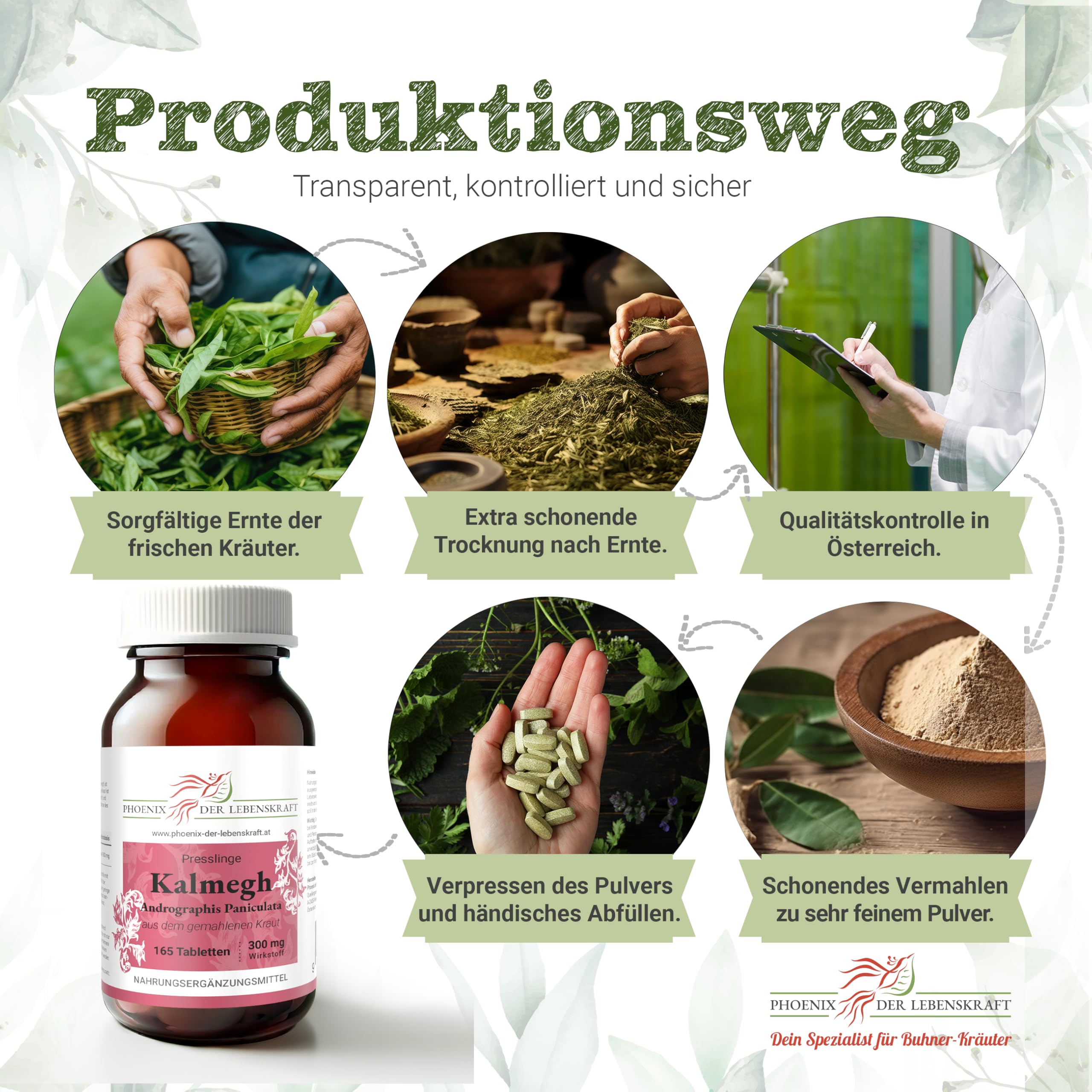 Kalmegh Tabletten, 300 mg Wirkstoff, Tabletten, Premium Qualität, Hergestellt in Österreich, Tabletten statt Kapseln, Vegan
