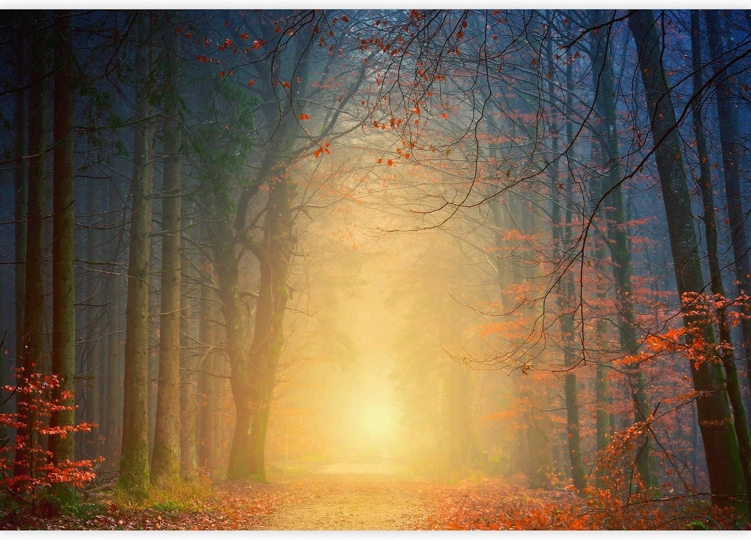 SIGNWIN Removable Wall Sticker/Wall Mural Mystic Autumn Sunlight Tree Forest Trail Nature Wilderness Photography Realism Decorative Landscape Colorful for Living Room, Bedroom, Office - 66x96 inches