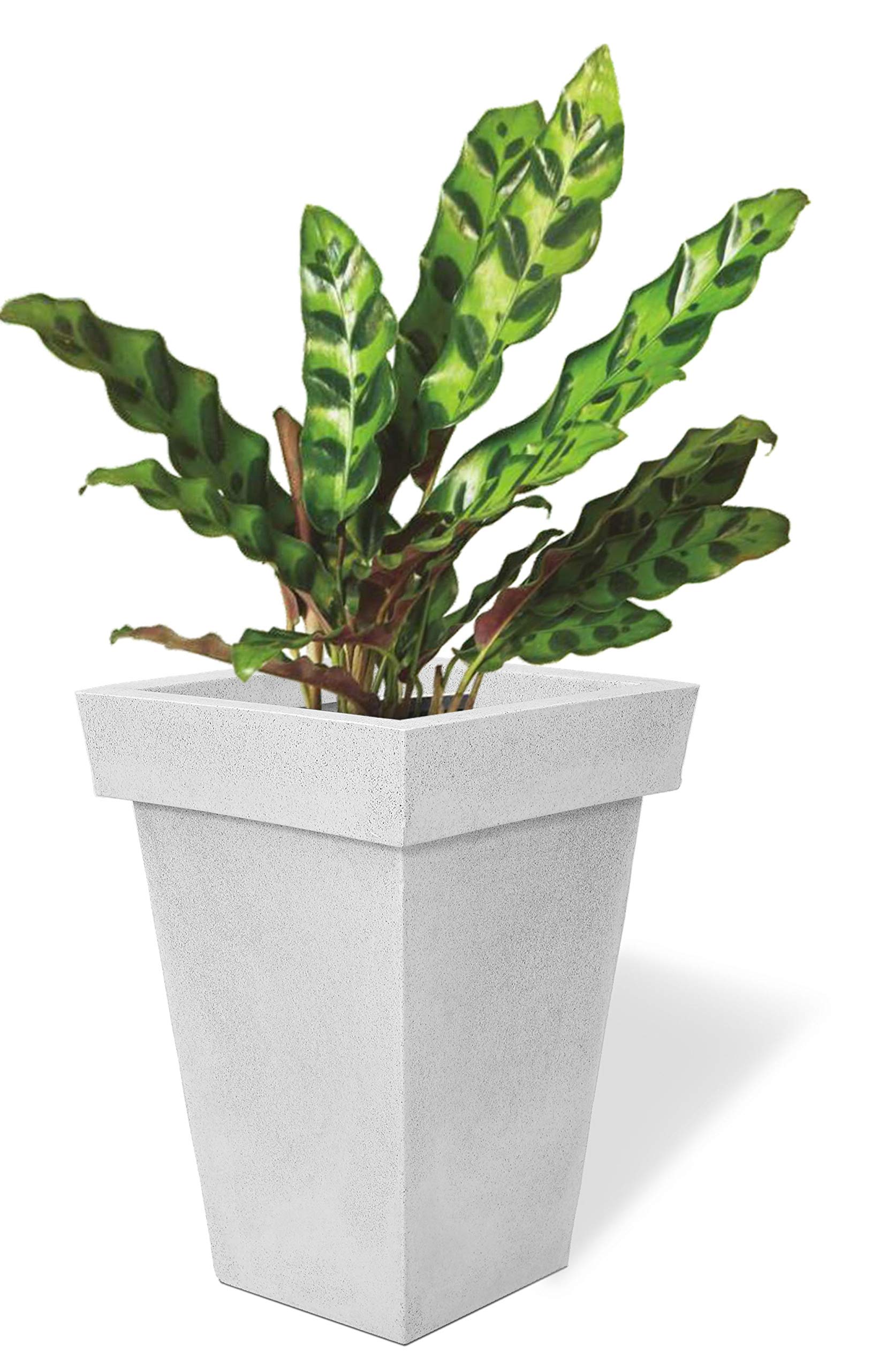 Supremo Exclusive Beautiful Rectangular Eco-friendly Polyethylene Decorative Leafy and Flowering Pot/Planter/Gamla for Indoor and Outdoor for Home/Balcony/Office/Living Room-White| WxH=18x30