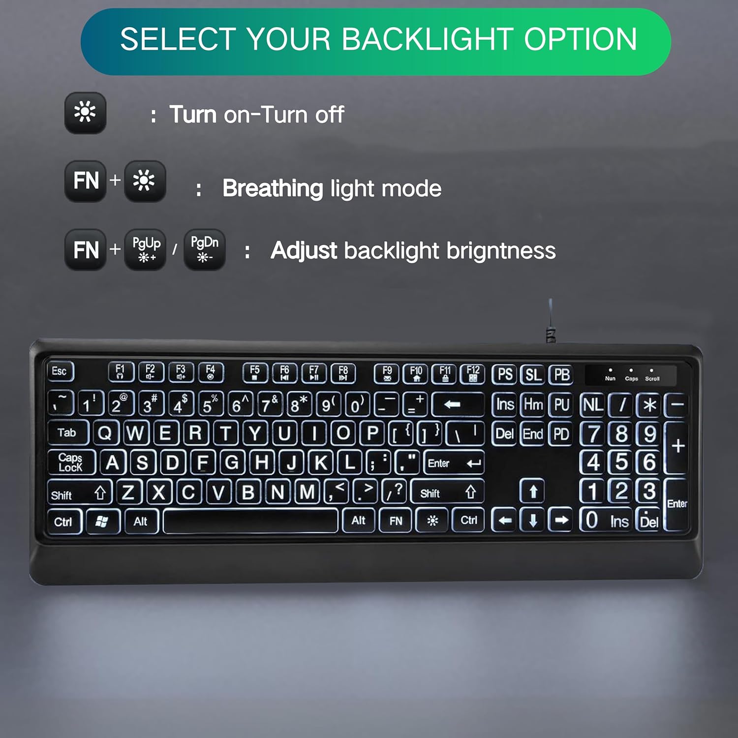 Large Print Backlit Keyboard, Quiet USB Wired Computer Keyboard, Full Size Keyboard with White Illuminated LED Compatible for Windows Desktop, Laptop, PC, Gaming, Black