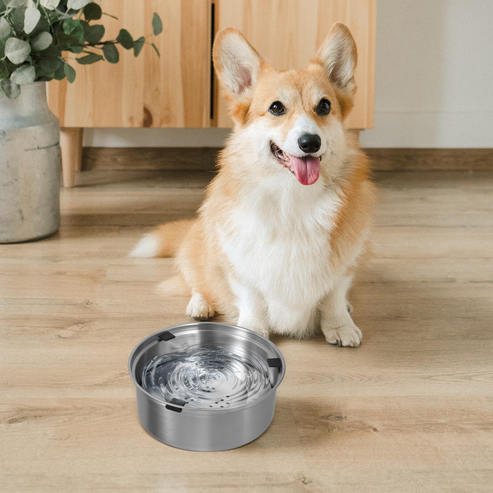 Edelstahl Wassernapf für Hunde und Welpen mit Langsamer Trinkfunktion Tropffrei und rutschfest für Gesunde Hydration und Sauberes Trinken zu Hause