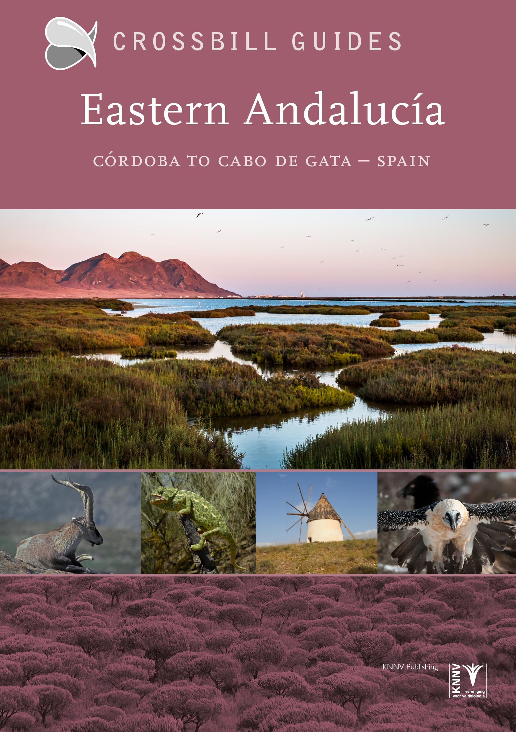 Eastern Andalucia: Cordoba to Cabo de Gata – Spain: II (Crossbill Nature Guides)