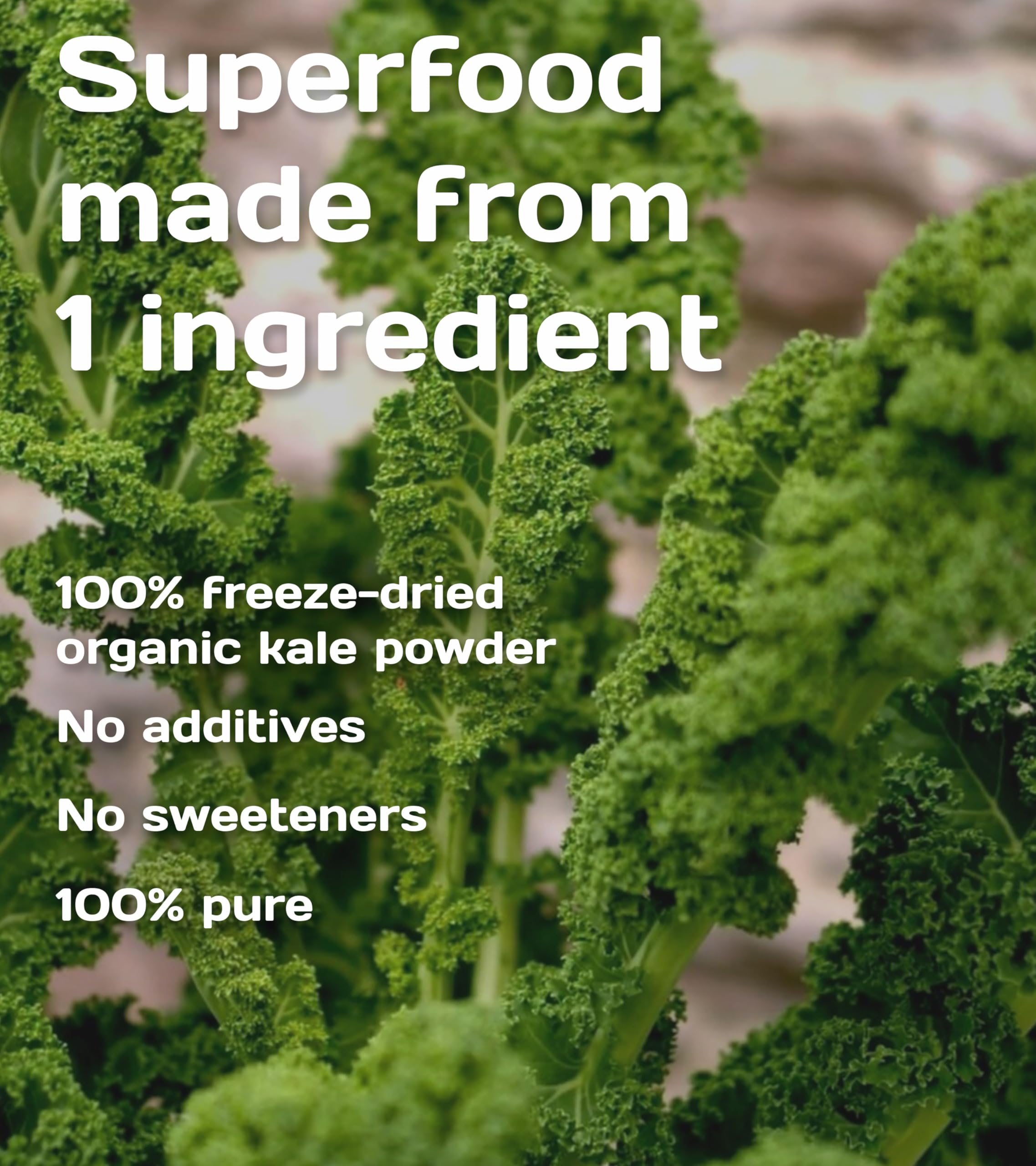 Pure Superfood Bioactive Kale Powder - 100% cavolo liofilizzato, ad alto contenuto di proteine, Kalzium, vitamina C e K. Ricco di antiossidanti, 9 aminoacidi essenziali, 25 x 2g
