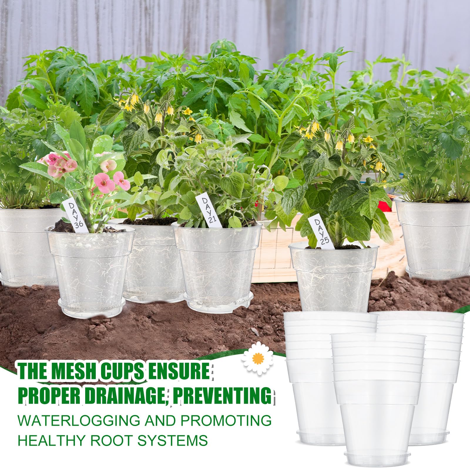Hushee Lot de 10 pots de fleurs transparents de 20,3 cm avec 10 soucoupes et 100 étiquettes de plantes en plastique transparent avec trou de drainage et plateau d'égouttement pour herbes, fleurs,
