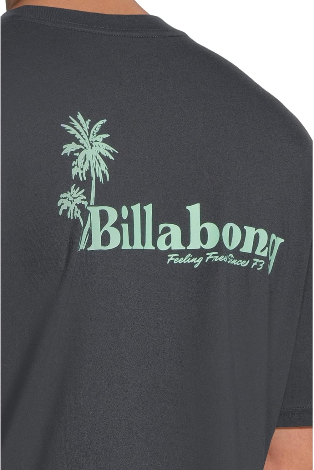 Billabong Men's Checking in Regular Short Sleeve