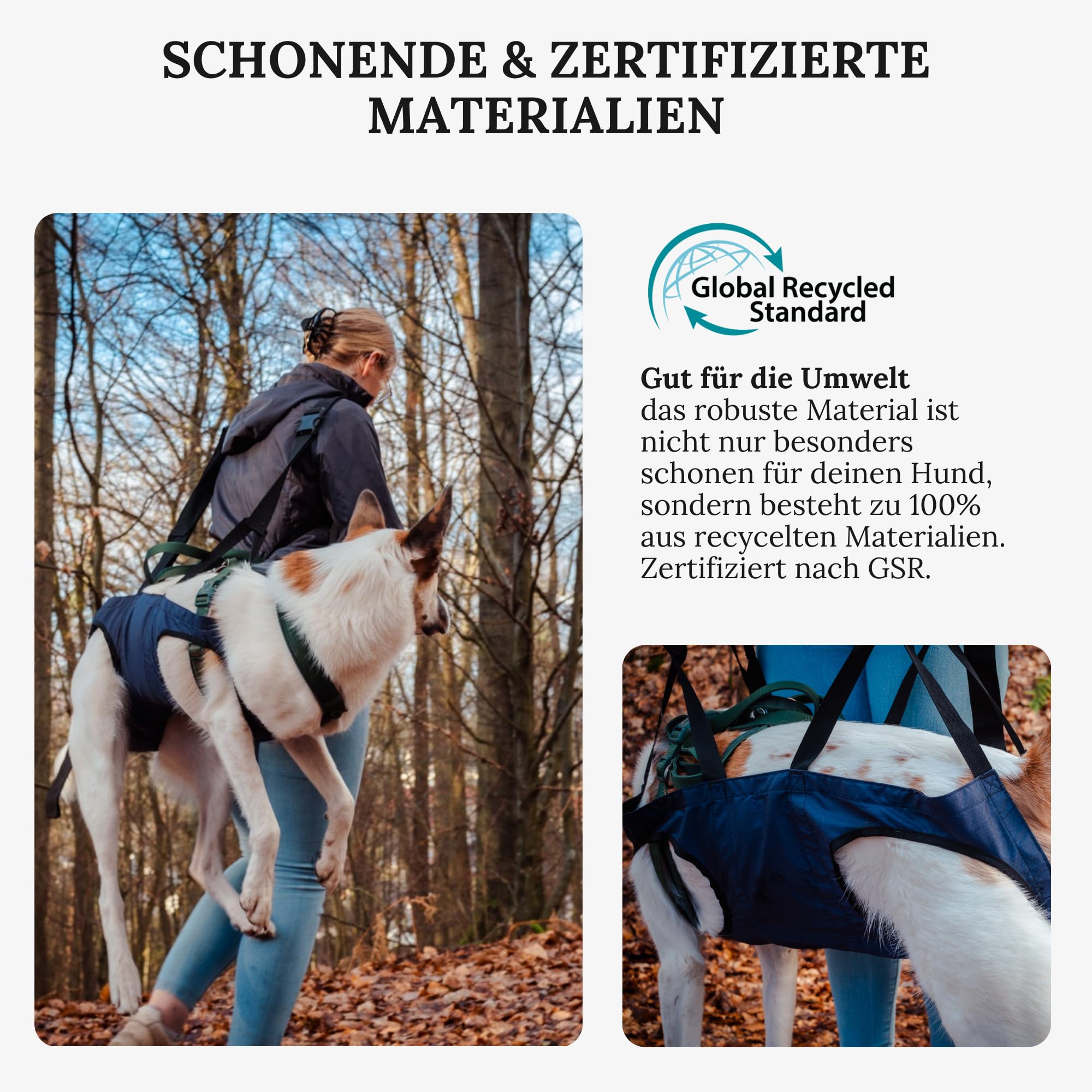 Tragehilfe für Hunde – Notfallrucksack bei Wanderungen oder Tragetasche Hund im Alltag bei Treppe - Klein, Leicht, Robust, Hochwertig - Tragetuch Hund, Hundetasche (L)