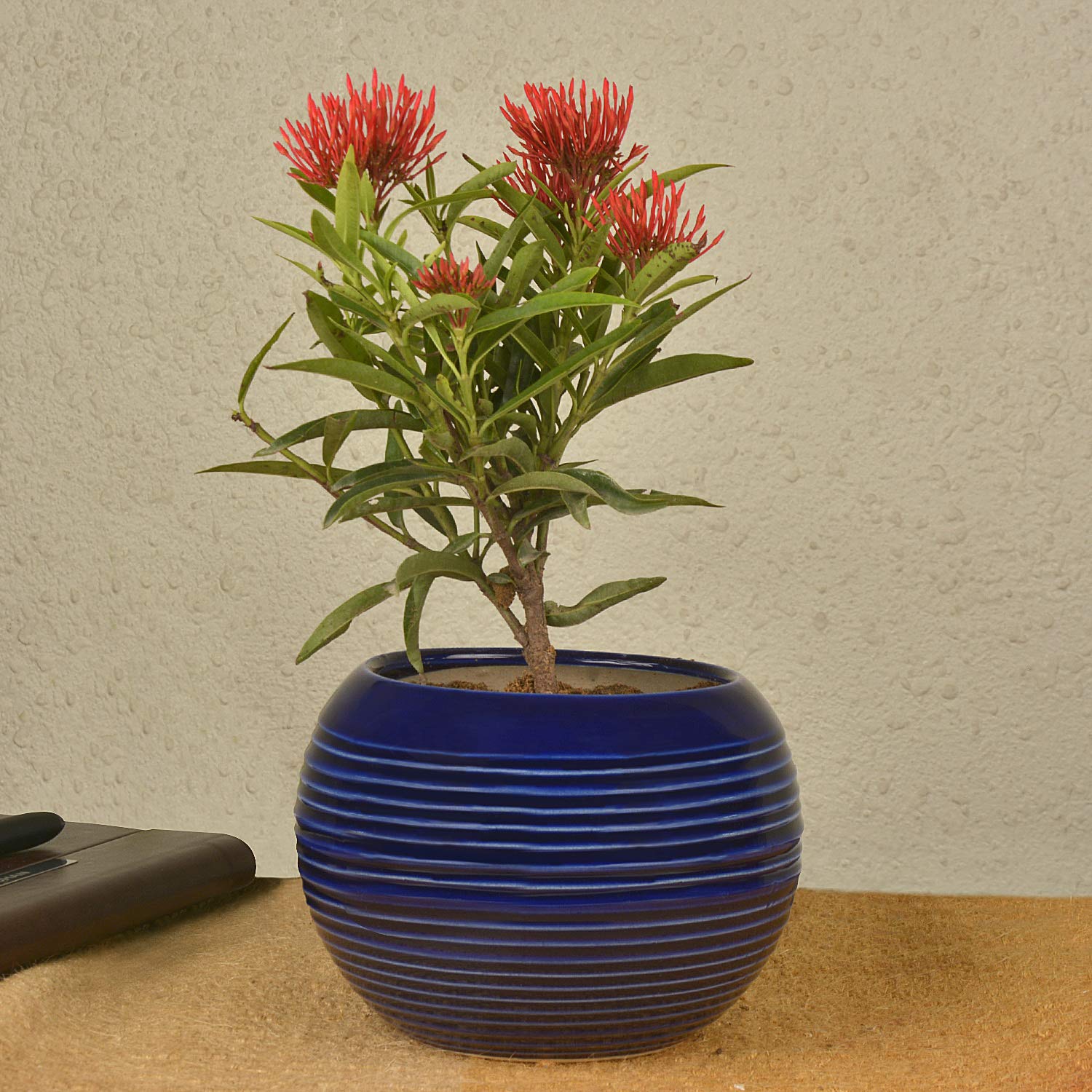 StyleMyWay Studio Pottery Ceramic Round Planter Pot (Prussian Blue, 11.5 cm) | Indoor Planter | Succulent Pot | Decorative Planter for Living Room