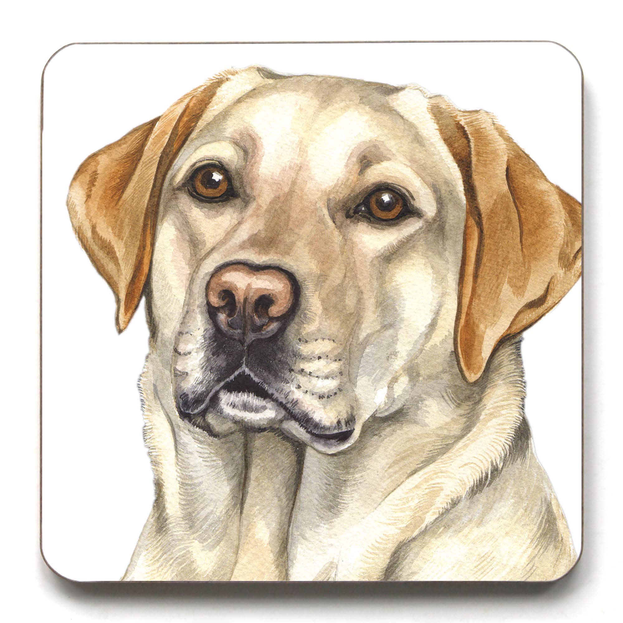 Waggydogz Golden Labrador Coaster (Cst-151)