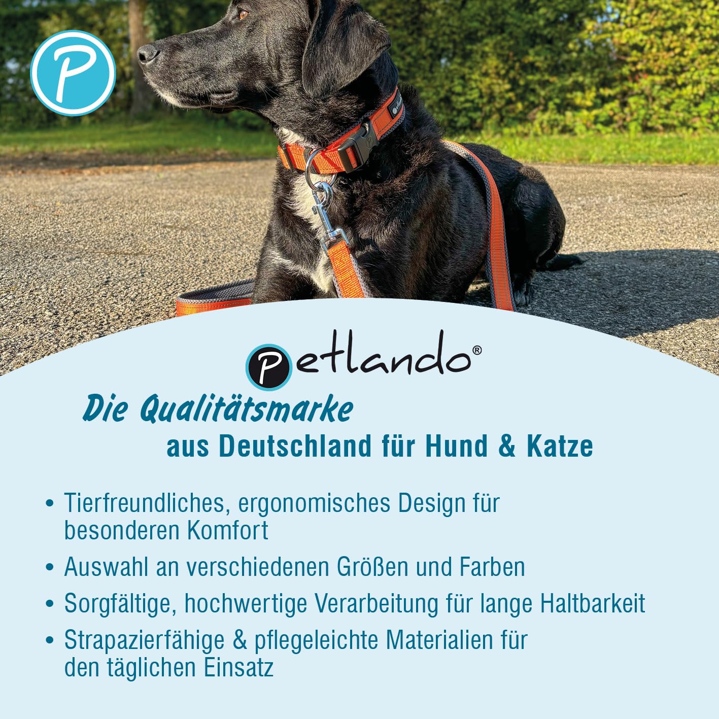 Petlando Hundegeschirr Outdoor – stark reflektierend, gepolstert, atmungsaktiv, robust, stufenlos verstellbar, Zwei D-Ringe – Berry, S (Halsumfang 36-48cm, Brustumfang 46-56cm)