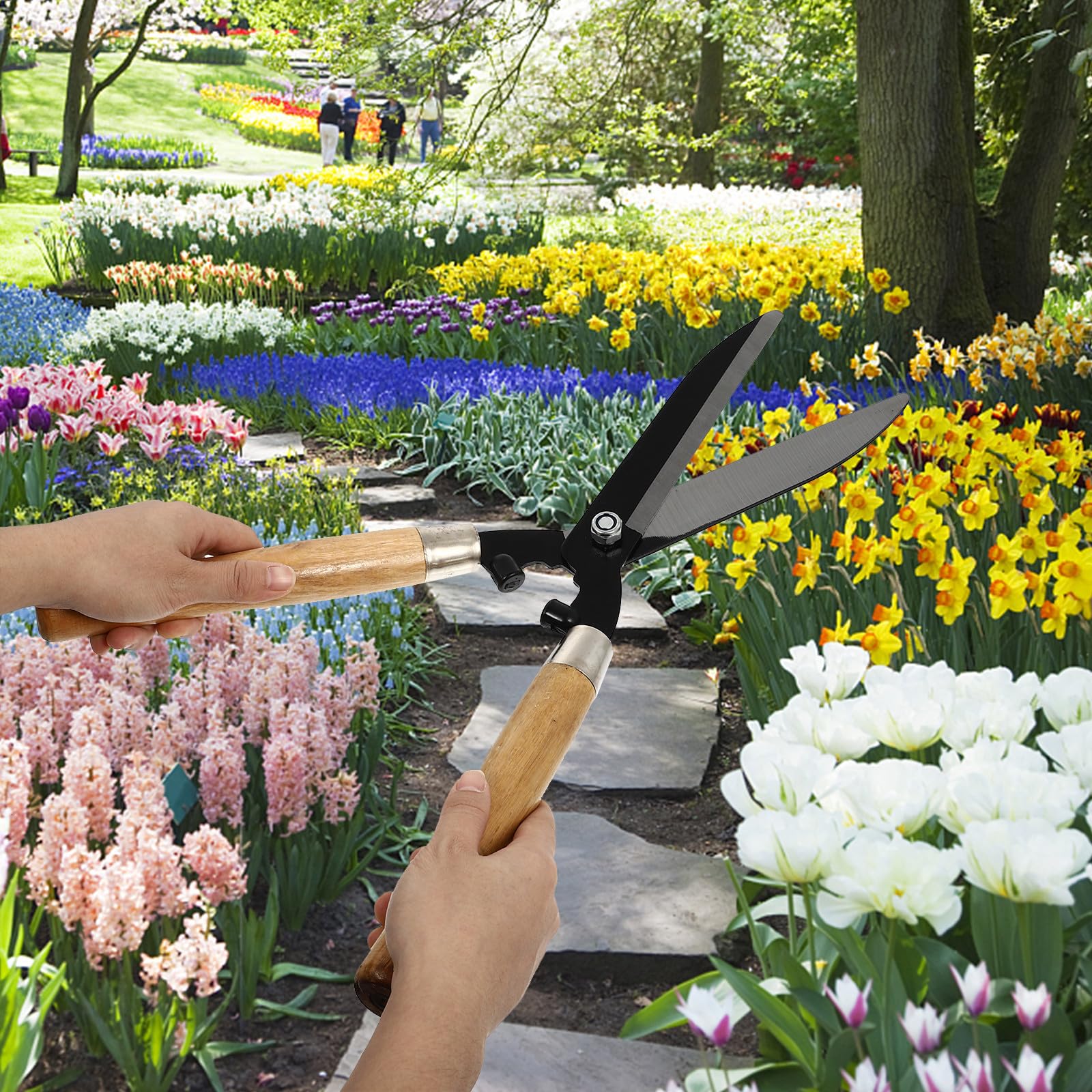 UKCOCO Tijeras de Podar de Jardinería, Tijeras de Césped, Cortasetos de Acero al Carbono Mango de Madera, Laboriosas y Resistentes al Óxido