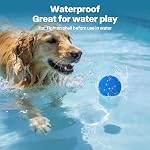 PetPrime Jouet interactif de boule de chien, Boule automatique avec mouvement activé, Jouet mobile de chien pour chiens moyens et grands,2 Jouer les modes pour stimuler mentalement et les garder occupés