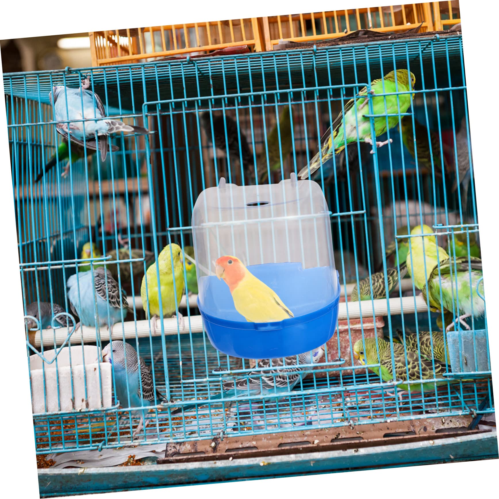 Mipcase 4pezzi Box da Bagno per Pappagalli Plastica di Vaschette Sospese per Uccelli Colorate Facili da Appendere e Divertenti per La Pulizia degli Uccelli Domestici