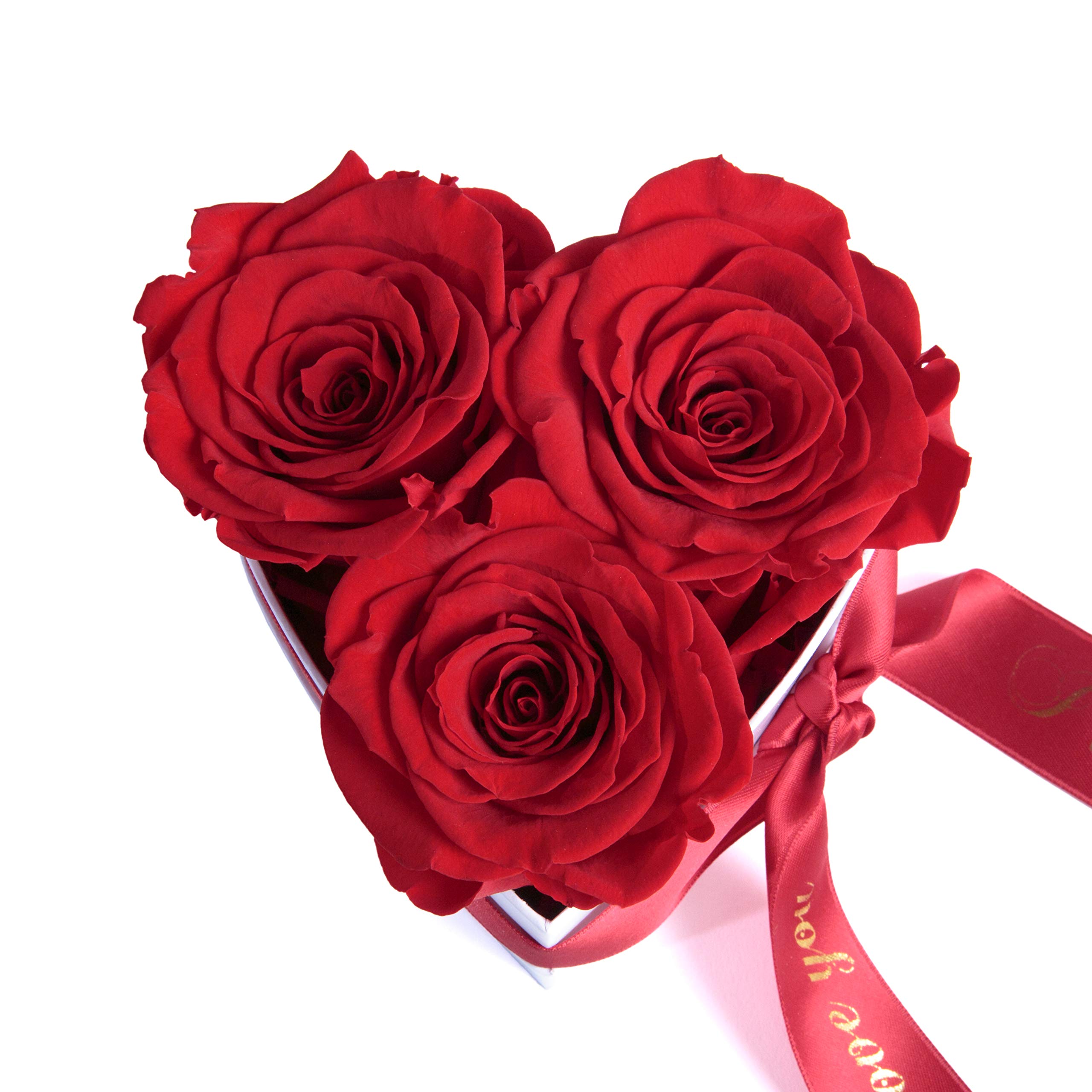 Rosemarie Schulz Heidelberg Infinity Rosenbox Herz 3 Konservierte Rosen in Box - Haltbar 3 Jahre 10x12cm - Liebeserklärung Herz Geschenke für Frauen Valentinstag und Frauentag (I Love You, Rot)