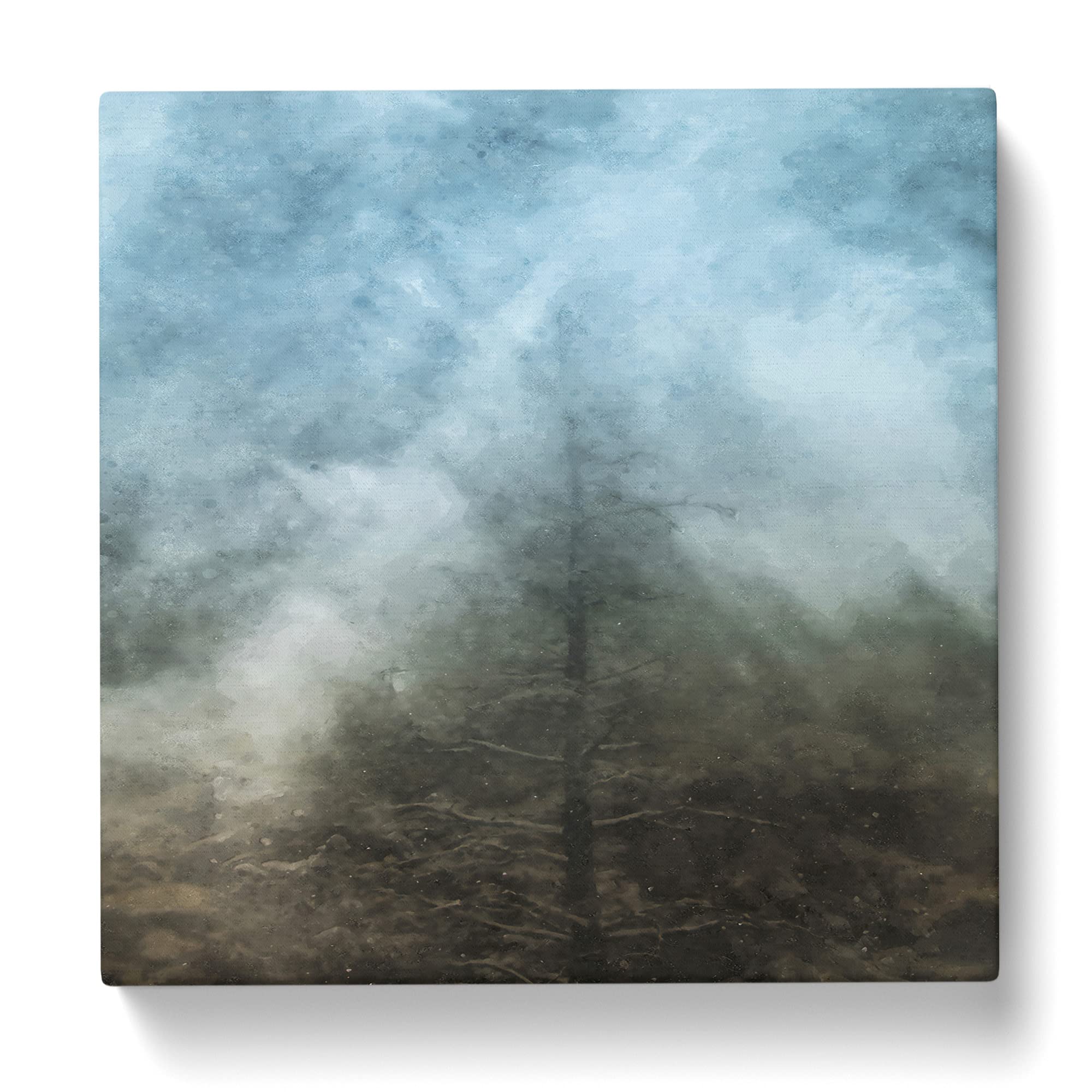 Tree in Boulder Colorado Canvas Print, Mixed, 35L x 35W cm - Image 3