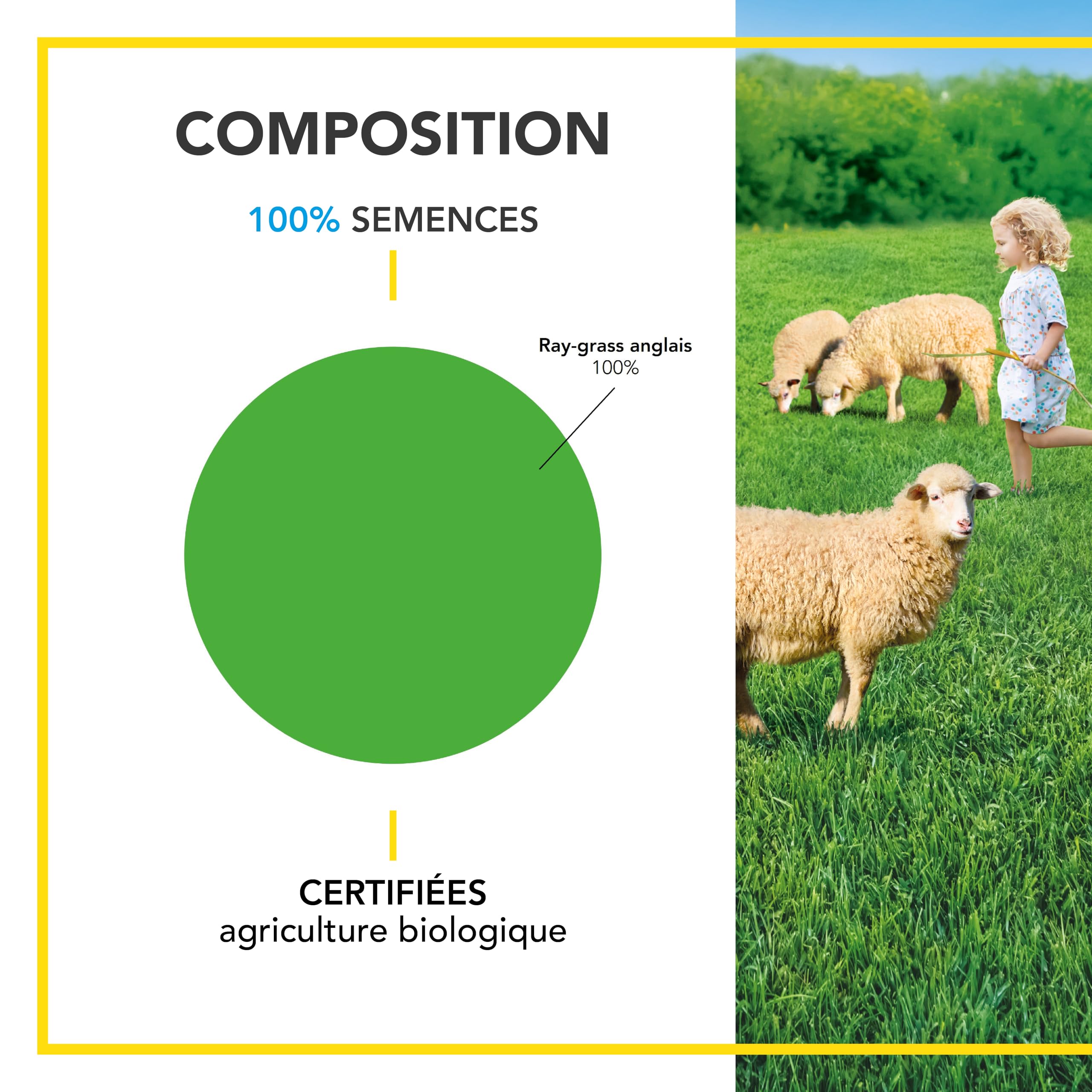 BARENBRUG - Prairie 100% Ray-grass anglais BIO - Pousse Rapide - 3KG | Prairie Polyvalente - Très Résistante dans le Temps - Fourrage pour Animaux - Fabriqué en France